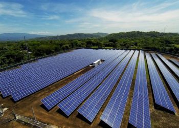 Licogi 13 chuyển nhượng dự án điện mặt trời cho Dragon Capital, dự thu về 456 tỷ đồng