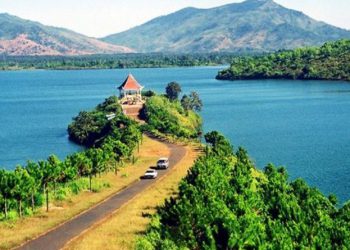 Gia Lai ‘mở đường’ cho xây dựng dự án điện gió trên đất rừng?