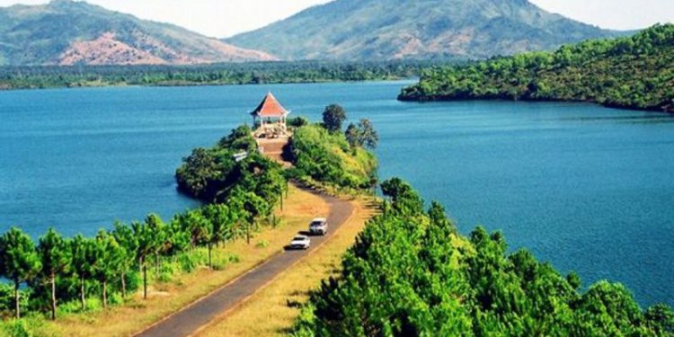 Gia Lai ‘mở đường’ cho xây dựng dự án điện gió trên đất rừng?