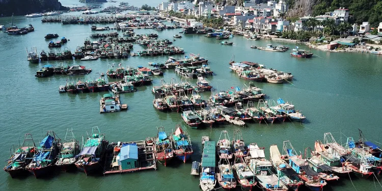 Hạ tầng Khu đô thị Đông Bắc cảng Cái Rồng – Quảng Ninh sẽ hoàn thành vào tháng 3/2023