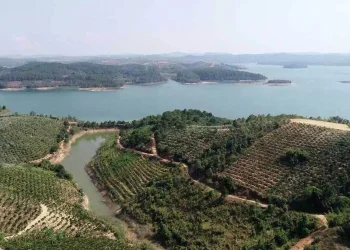 Lâm Đồng yêu cầu Sài Gòn – Đại Ninh nộp BCTC kiểm toán, ký quỹ và cam kết không chuyển nhượng dự án